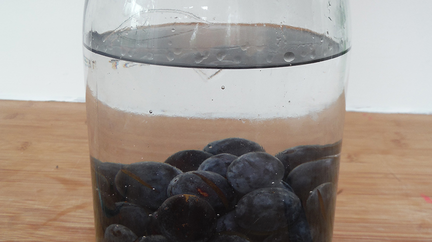 ジンにあるスロー