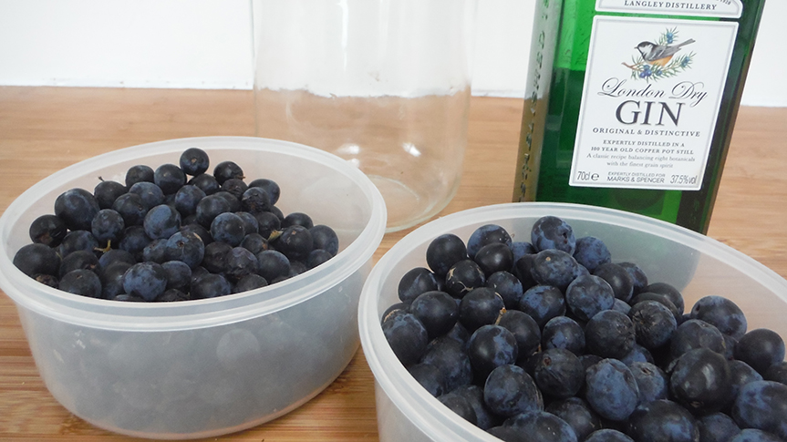 スロー・ジンの材料